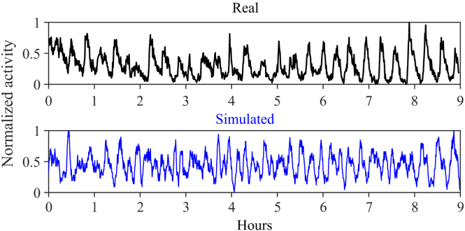 <strong>Figure 3.</strong> A comparison of the ant activity in real data and a simulation. Figure courtesy of Grant Doering.