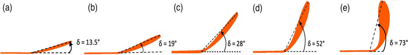 &lt;strong&gt;Figure 3.&lt;/strong&gt; Five flexible wings and the maximum deflection of the wings from their original structure. &lt;strong&gt;3a–3c.&lt;/strong&gt; Moderately flexible wings. &lt;strong&gt;3d–3e.&lt;/strong&gt; Wings with high flexibility in the spanwise direction. Figure courtesy of Hrithik Aghav.