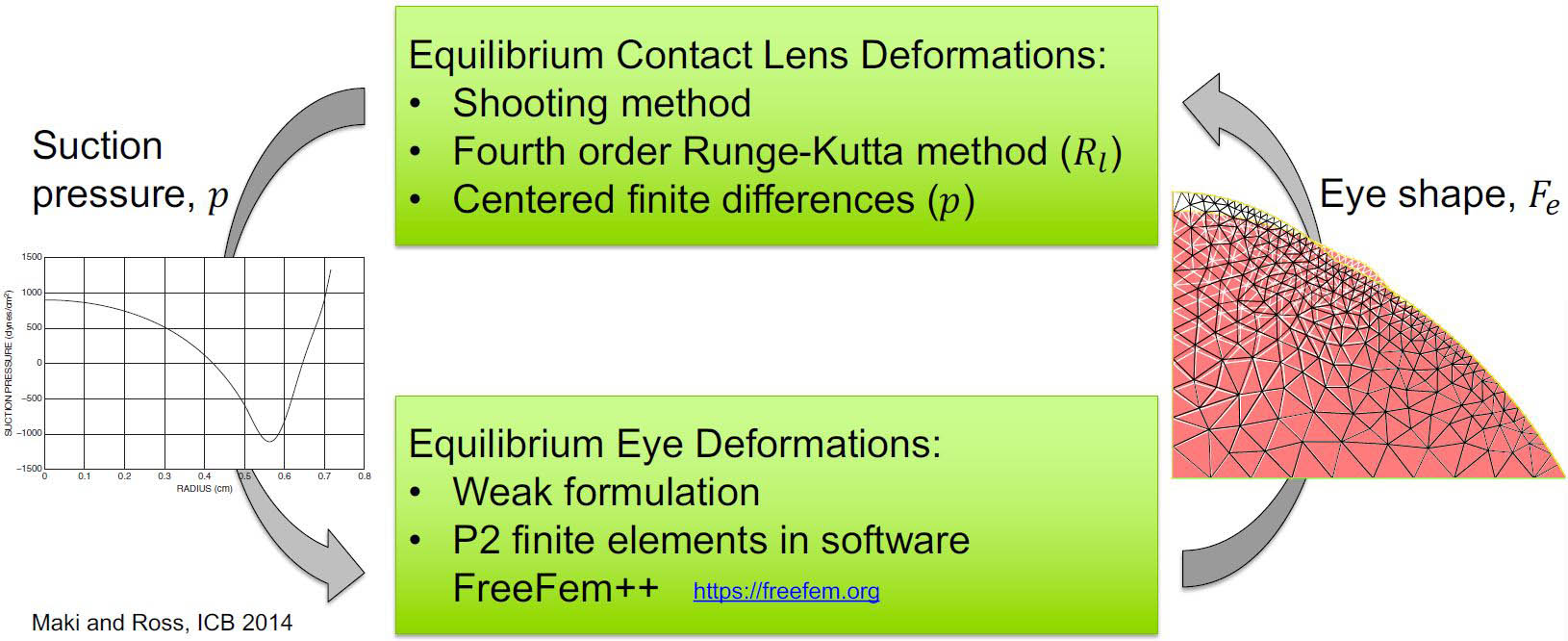 &lt;strong&gt;Figure 2.&lt;/strong&gt; Iterative numerical algorithm that couples the eye and contact lens models. Image courtesy of Lucia Carichino.