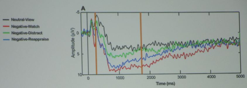 <strong>Figure 2.</strong> When examining emotion regulation from an intrinsic point of view, negative-distract has less intensity than negative-watch.