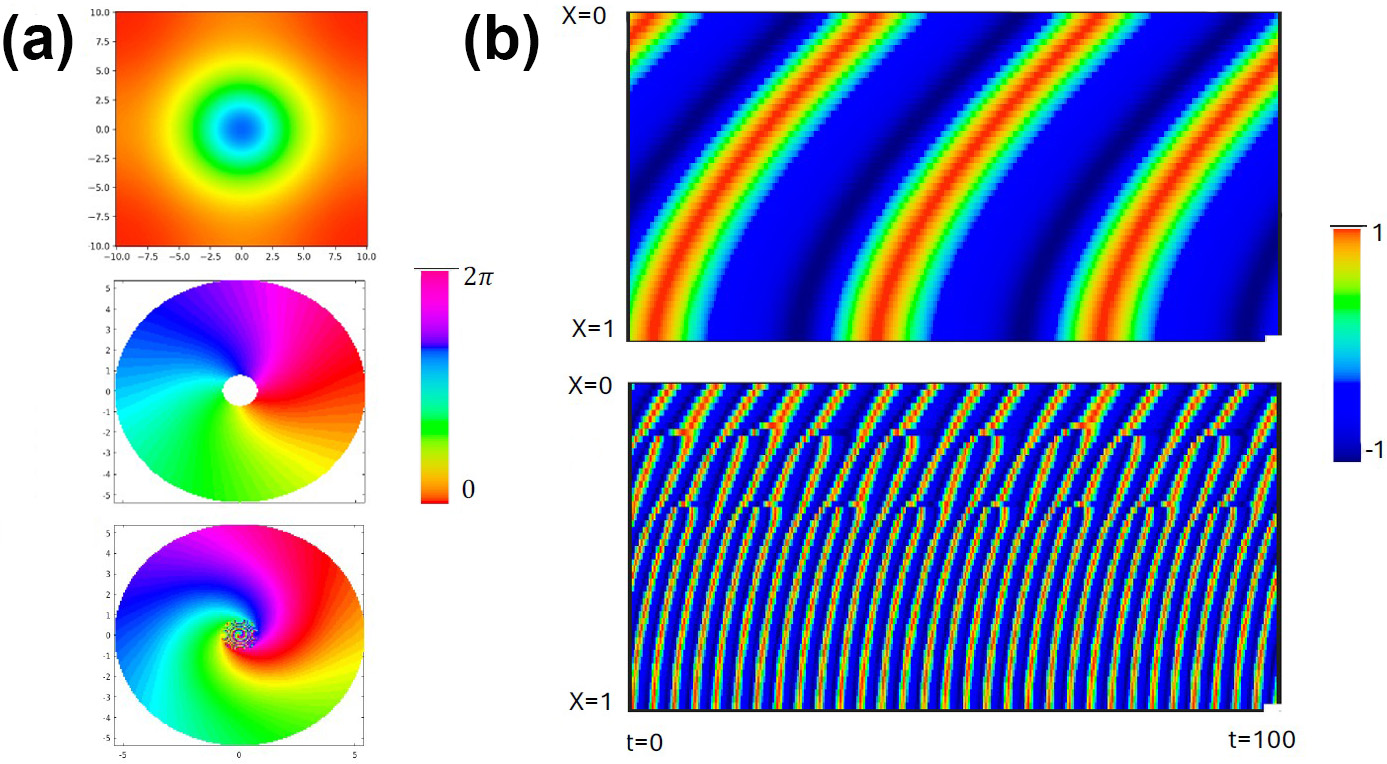 <strong>Figure 2.</strong> Numerical simulations of \((1)\) in one-dimensional (1D) and two-dimensional domains. <strong>2a.</strong> The top panel depicts a square domain with a radially symmetric frequency gradient, where \(\omega(r)\) leads to outwardly propagating waves. The middle panel illustrates rotating waves in an annulus. Removal of the “hole” in the bottom panel triggers the emergence of a desynchronized core called a chimera. <strong>2b.</strong> The top panel portrays a 1D network with Gaussian connectivity and a linear frequency gradient. If the gradient is too large, as in the bottom panel, frequency plateaus arise. Top panel of Figure 2a and Figure 2b courtesy of Bard Ermentrout, middle and bottom panels of Figure 2a courtesy of [2].