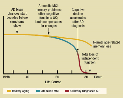 &lt;strong&gt;Figure 1.&lt;/strong&gt; Charting the course of healthy aging, amnestic mild cognitive impairment (MCI), and clinically diagnosed Alzheimer&#x27;s disease (AD). Figure courtesy of the National Institute on Aging.