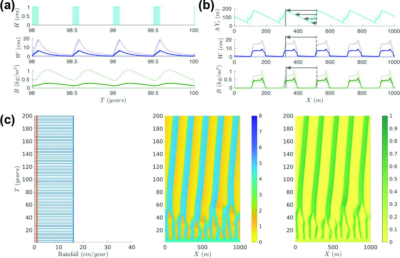&lt;strong&gt;Figure 1.&lt;/strong&gt; Outcomes at the end of a 100-year simulation for periodic rainfall on a one-kilometer domain that is sloped uphill towards the right. The mean annual precipitation is 16 centimeters (cm) and the mean storm depth is \(H_0=1\) cm. &lt;strong&gt;1a.&lt;/strong&gt; Time series during the last two years of the simulation. &lt;strong&gt;1b.&lt;/strong&gt; Spatial profiles that are derived from the simulation’s final year. The vertical axis of the top panel refers to the farthest distance that surface water travels during a rainstorm before it infiltrates the ground at point \(X\). The lower two panels are profiles for soil water and biomass. &lt;strong&gt;1c.&lt;/strong&gt; The left panel is a time series of total annual rainfall (in blue), with a 1 cm contribution from each rainstorm (in orange). The middle and right panels respectively portray the five-band spacing of annually averaged soil water and biomass. The heat maps indicate less to more water or biomass, with colors ranging from yellow (at 0) to dark blue (at 8) or dark green (at 1). Figure courtesy of [3].