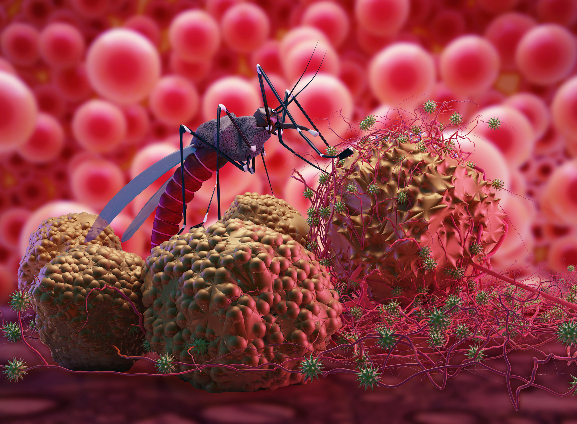 <strong>Figure 1.</strong> The <em>Aedes aegypti</em> mosquito transmits dengue fever, a viral disease that is a major public health concern. Figure courtesy of <a href="https://www.istockphoto.com/photo/malaria-virus-zika-virus-gm938182042-256564163" rel="noopener noreferrer" target="_blank">iStock.com/nopparit</a>.