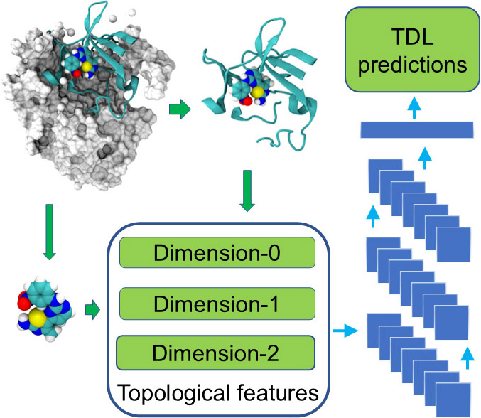 &lt;strong&gt;Figure 1.&lt;/strong&gt; The framework of topological deep learning (TDL). Figure courtesy of JunJie Wee and partially adapted from [1].