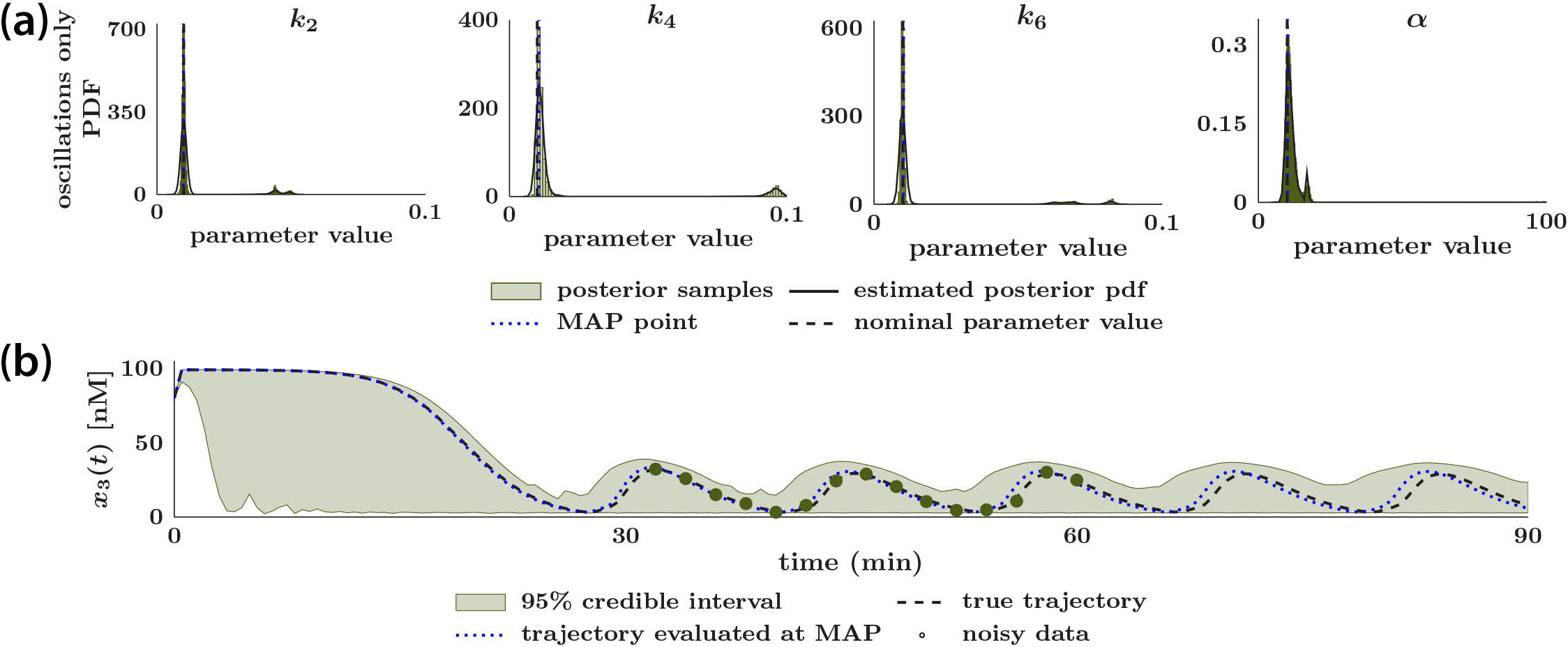 &lt;strong&gt;Figure 3.&lt;/strong&gt; Parameter estimation results for the mitogen-activated protein kinase (MAPK) model when using the constrained interval unscented Kalman filter Markov chain Monte Carlo (CIUKF-MCMC) method on the reduced model parameters. &lt;strong&gt;3a.&lt;/strong&gt; Marginal posterior distributions. &lt;strong&gt;3b.&lt;/strong&gt; Ensemble simulation with 30,000 random posterior samples. Figure adapted from [4].