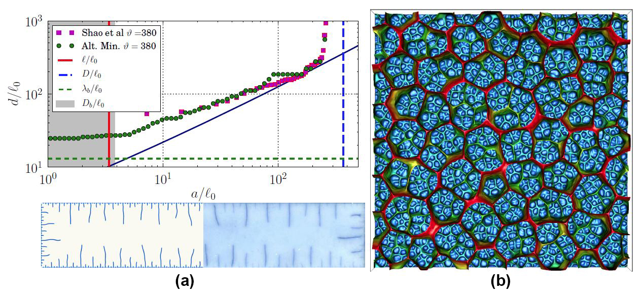 &lt;strong&gt;Figure 1.&lt;/strong&gt; Phase-field simulation of a thermal shock [4]. &lt;strong&gt;1a.&lt;/strong&gt; Crack spacing versus distance to edge, and crack geometry in numerical simulation versus experiments. &lt;strong&gt;1b.&lt;/strong&gt; Complex crazing-like fracture pattern growing from the edge toward the inside of the domain in a large-scale, three-dimensional numerical simulation. The level line \(\alpha=0.95\) of the phase field is colored by the distance to the exposed surface; blue is toward the exposed face and red is inside the material. Figure courtesy of [4].