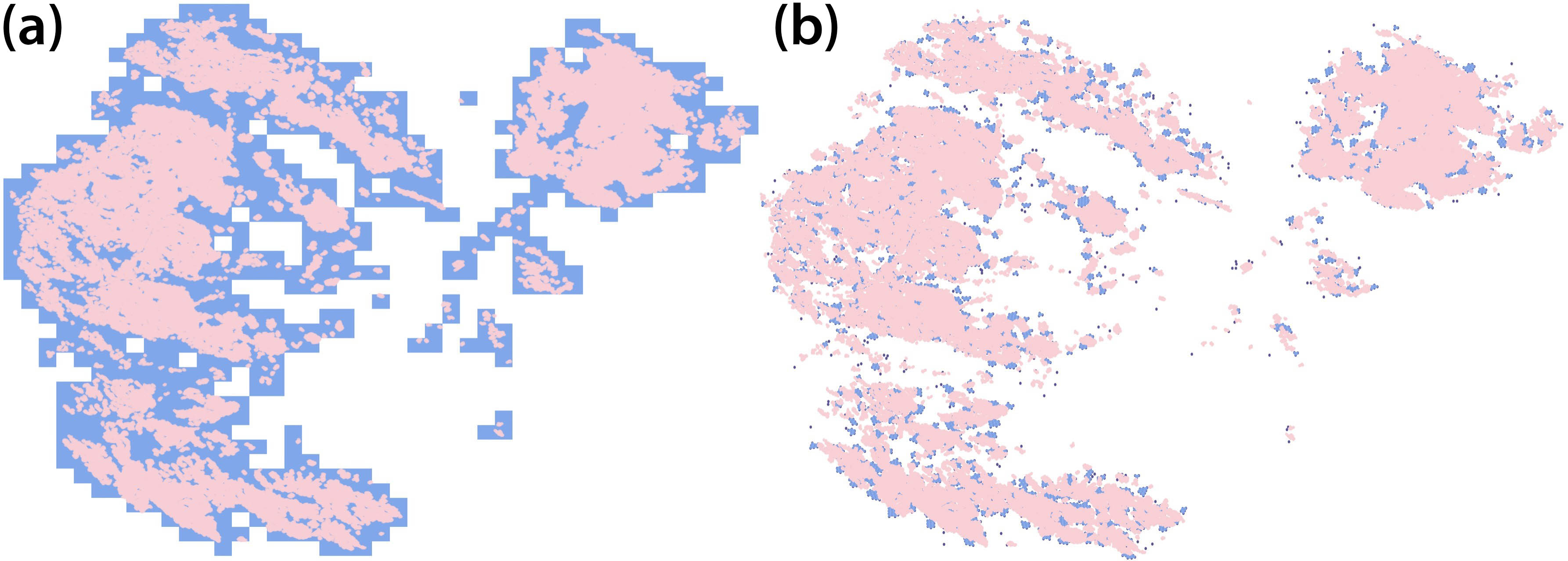 <strong>Figure 4.</strong> Comparison between the original binary map of guano <strong>(4a)</strong> and the high-resolution shape that is recovered using our molecular dynamics protocol <strong>(4b)</strong> for the Beagle Island Adélie penguin colony; each is overlaid with the original high-resolution colony annotation (in pink). The blue portions in 4b identify areas where the simulated configuration differs from the ground-truth colony annotation. Figure courtesy of Carole Hall.