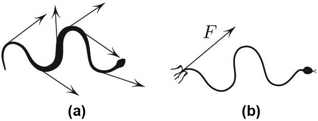 &lt;strong&gt;Figure 1.&lt;/strong&gt; The snake in motion and static. &lt;strong&gt;1a.&lt;/strong&gt; The velocity of the snake in the grass is tangential. &lt;strong&gt;1b.&lt;/strong&gt; The propulsion force \(F\) is given by \((1)\). Instead of pulling the fingers, the snake can use \(F\) to overcome friction with the grass when slithering. This figure is only a thought experiment. I did not touch the snake.