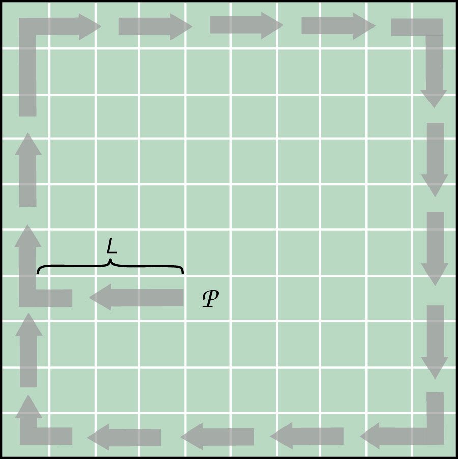 &lt;strong&gt;Figure 2.&lt;/strong&gt; Dynamics on the pixel grid.