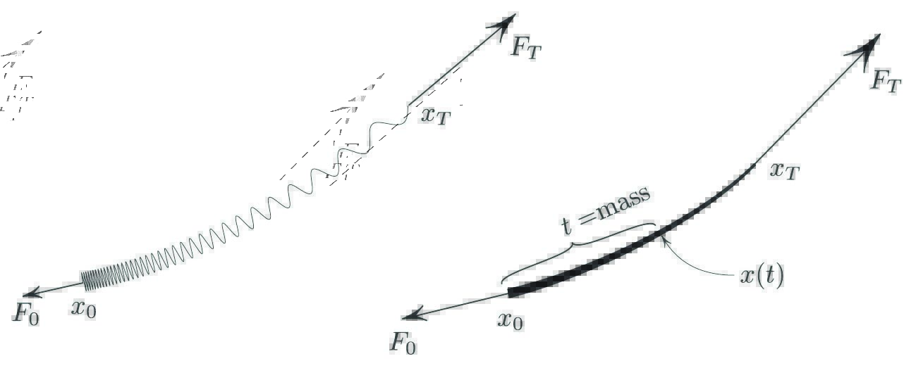 <strong>Figure 1.</strong> A Hookean spring hanging by two ends, thought of either as a spring or an elastic latex band.