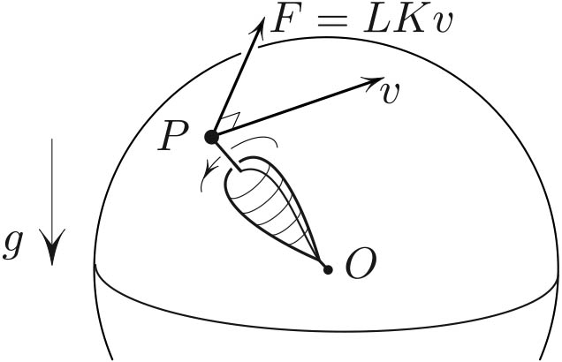 &lt;strong&gt;Figure 1.&lt;/strong&gt; \(L\) is the angular momentum around the symmetry axis and \(K= R ^{-2}\) is the Gaussian curvature of the sphere.