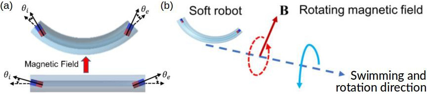 &lt;strong&gt;Figure 2.&lt;/strong&gt; The configuration and motion of a soft rod-like robot. &lt;strong&gt;2a.&lt;/strong&gt; A soft, rod-like robot made of flexible polymer, with magnets (north poles in blue) embedded at the ends. An applied magnetic field tends to orient the magnets in the same direction, thus bending the robot. &lt;strong&gt;2b.&lt;/strong&gt; In a rotating magnetic field, the robot deforms and rotates, and could possibly be propelled along the rotation axis. Figure courtesy of [2].