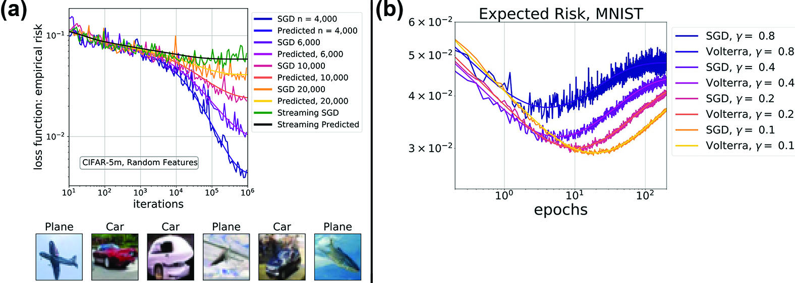 &lt;strong&gt;Figure 1.&lt;/strong&gt; Courtney Paquette and her colleagues developed theory that predicts the resulting behavior of training an image classifier via stochastic gradient descent (SGD). The observed “risk”—a normed residual on unseen data—is tracked closely by an a priori calculation that pertains to the spectrum of Hessian matrix \(H=X^T X\). &lt;strong&gt;1a.&lt;/strong&gt; Theoretical predictions match the loss on varying training data sizes \(n\) on the CIFAR-5m dataset. &lt;strong&gt;1b.&lt;/strong&gt; Similar agreement occurs for different learning rates \(\gamma\) when one conducts training on the Modified National Institute of Standards and Technology database (MNIST) dataset. Figure courtesy of Courtney Paquette; Figure 1b adapted from [5].