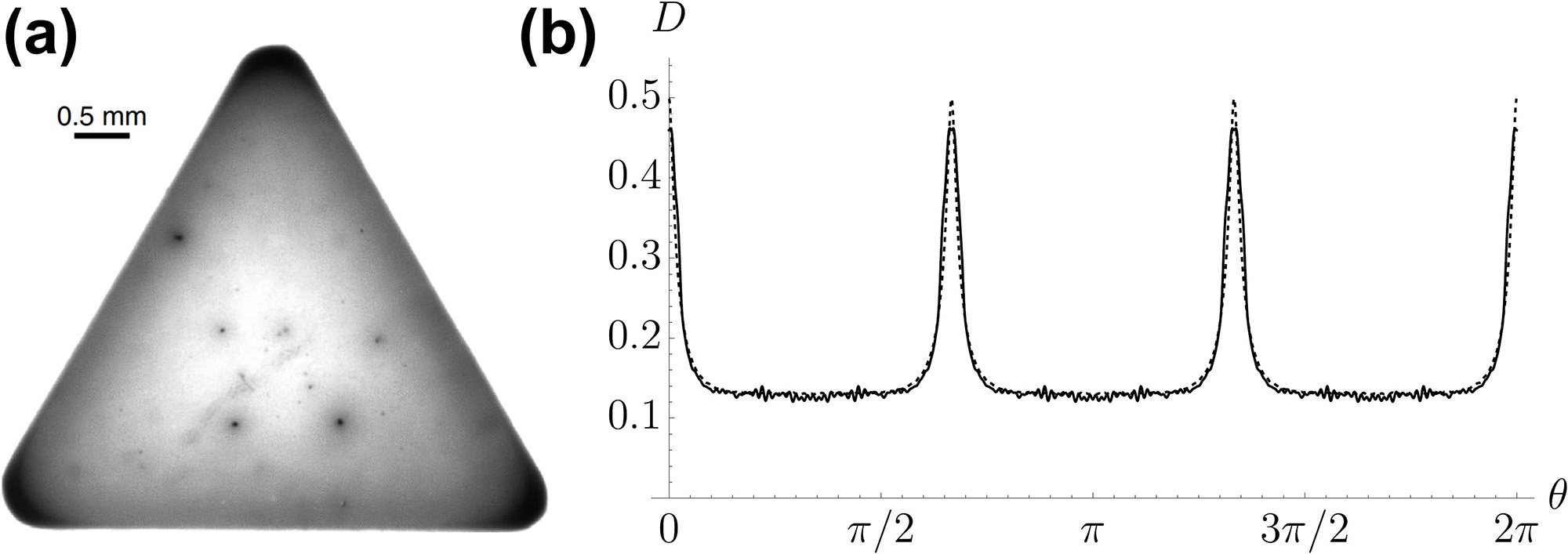 &lt;strong&gt;Figure 3.&lt;/strong&gt; Application of our model to a triangular coffee droplet. &lt;strong&gt;3a.&lt;/strong&gt; The residual residue after the evaporation of a triangular coffee droplet. &lt;strong&gt;3b.&lt;/strong&gt; The deposit’s density as a function of polar angle around the contact line. The solid curve represents the experimental data from Figure 3a, while the dashed curve represents our model’s corresponding prediction. Figure 3a courtesy of [5] and Figure 3b courtesy of the authors.