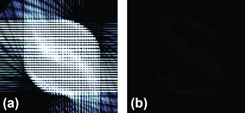 &lt;strong&gt;Figure 2.&lt;/strong&gt; Direct reconstruction and network output on adversarial inputs. The images are clipped to the valid range \([0,1]\). &lt;strong&gt;2a.&lt;/strong&gt; Direct reconstruction of the adversarial data. &lt;strong&gt;2b.&lt;/strong&gt; Network output on the adversarial data. Figure courtesy of Tim Roith.