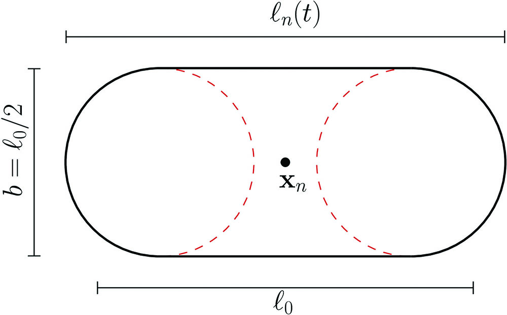 &lt;strong&gt;Figure 2.&lt;/strong&gt; A sphero-cylinder—a cylinder that is capped on both ends with hemispheres—serves as a simple mathematical model for a bacterium. Here, the diameter \(b\) of bacterium \(n\) is fixed while the length \(\ell_n\) varies from \(\ell_0\) to \(2\ell_0\) at a rate that is determined by a characteristic growth scale and interactions with neighboring microbes. Figure courtesy of the author.