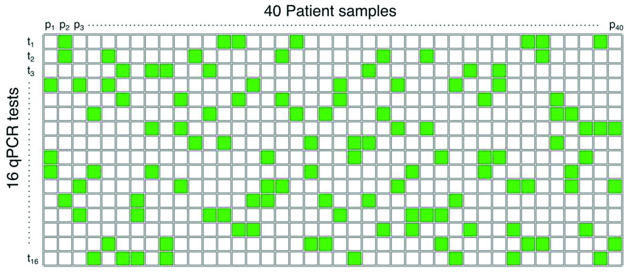 &lt;strong&gt;Figure 2.&lt;/strong&gt; A binary matrix of size \(16\) \(\times\) \(40\) that tests \(40\) patient samples in \(16\) tests. Each row indicates which samples must be pooled together in each test. Figure courtesy of [4].