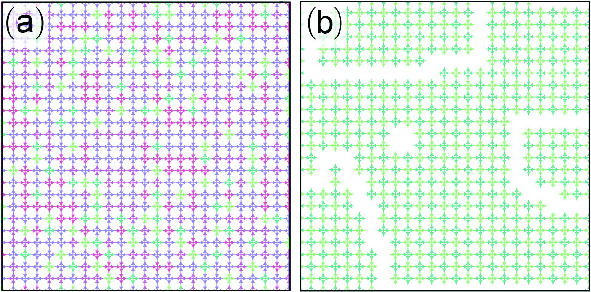 &lt;strong&gt;Figure 2.&lt;/strong&gt; Placing posts in the middle of each junction changes the flow of the active hydraulic particles from random &lt;strong&gt;(2a)&lt;/strong&gt; to something that is analogous to an antiferroelectric system, with clearly defined domains &lt;strong&gt;(2b)&lt;/strong&gt;. Figure adapted from [3].