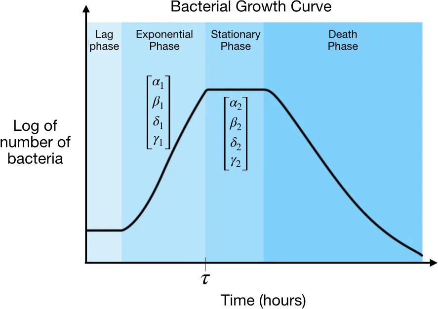 &lt;strong&gt;Figure 2.&lt;/strong&gt; Four phases of a cell population’s life cycle. In this context, the parameters of our hybrid toggle switch change at time \(\tau\) (when the exponential growth phase transitions to the stationary phase). Figure courtesy of the author.