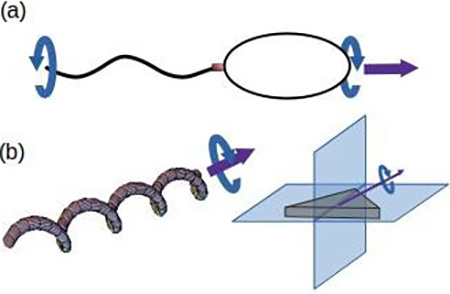 <strong>Figure 1.</strong> Rotary propulsion in bacteria and microrobots. <strong>1a.</strong> Bacteria swim by rotating a helical flagellar filament with their flagellar motor (red). <strong>1b.</strong> Some bioinspired microrobots mimic the helical bacterial flagellum but are rotated by an external magnetic field. The average propulsion direction falls along the rotation axis. However, much simpler geometries—with up to two mirror symmetry planes—can be propelled upon rotation as long as the rotation axis is not perpendicular to a symmetry plane. Figure courtesy of Henry Fu.