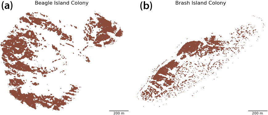 <strong>Figure 2.</strong> Sample Adélie penguin colony shapes. <strong>2a.</strong> Beagle Island. <strong>2b.</strong> Brash Island. Figure courtesy of Carole Hall.