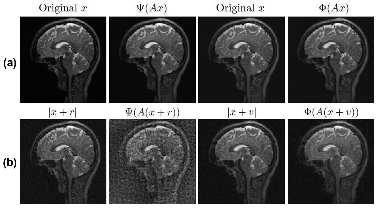 &lt;strong&gt;Figure 2.&lt;/strong&gt; The AUTOMAP network \(\Psi\colon \mathbb{C}^m \to \mathbb{C}^N\) [12] for MRI is unstable to worst-case perturbations, whereas the sparse regularization method \(\Phi\) is not. &lt;strong&gt;2a.&lt;/strong&gt; Original image \(x\) and unperturbed reconstructions. &lt;strong&gt;2b.&lt;/strong&gt; Worst-case perturbations \(r\) and \(v\) for the respective methods and their effects. Poor conditioning is not responsible for this instability since the condition number \(\mathrm{cond}(AA^*) = 1\). Figure courtesy of [2].