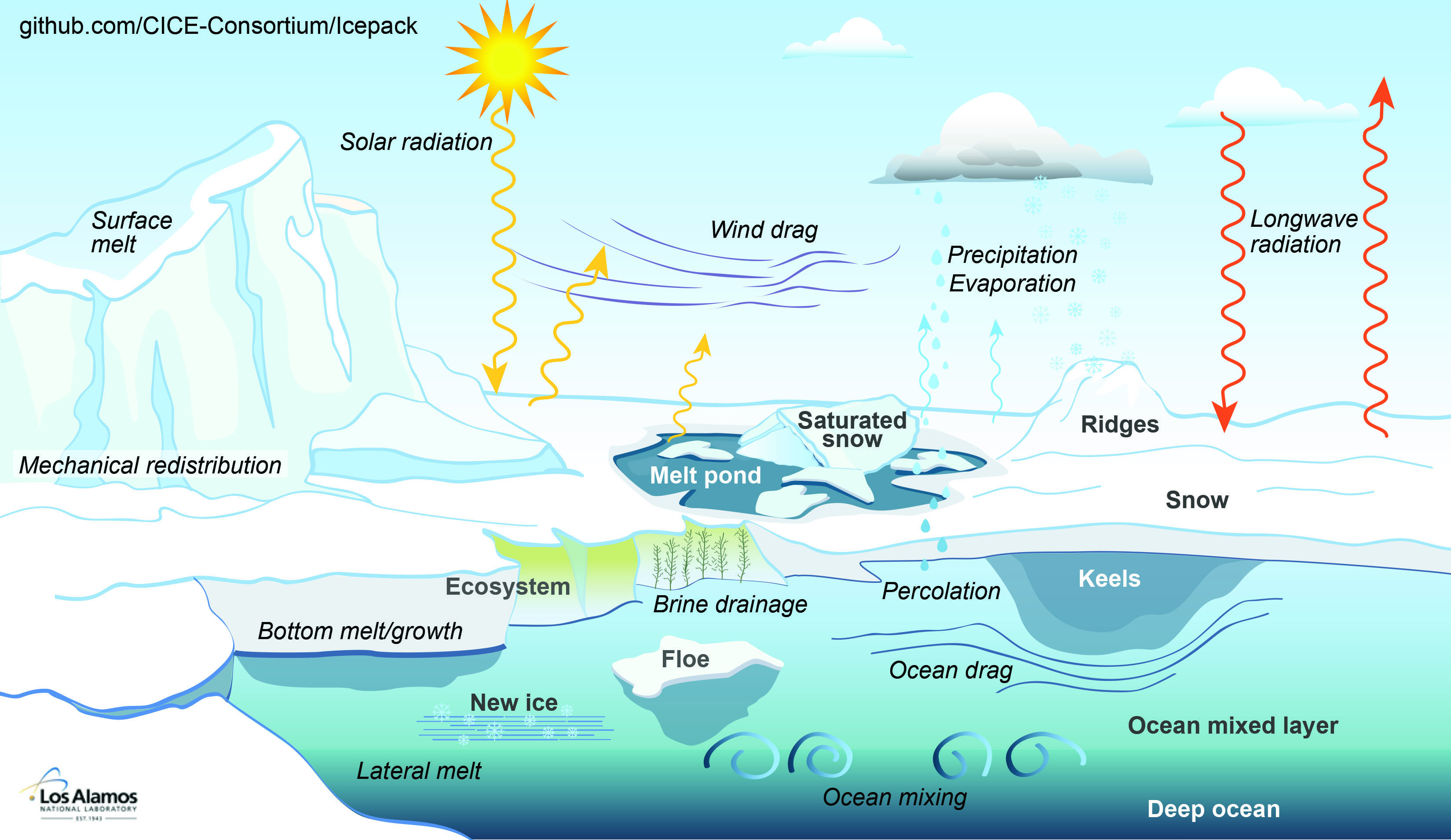 <strong>Figure 1.</strong> Most of the physics in state-of-the-art sea-ice models can be represented within a single grid cell (i.e., a column). Thermodynamics (melting and freezing); hydrologic properties of the ice, such as the presence of liquid water on top of the ice and percolating through it; and morphological changes associated with ice deformation and ridging all contribute to sea-ice evolution within a column. Many of the other processes occur in the atmosphere and ocean components, and the sea-ice model must take them into account as part of its energy balances. The large-scale motion of ice across the ocean’s surface, which models must represent correctly to simulate the planet’s surface reflectivity, is missing in this schematic. Figure courtesy the CICE Consortium.