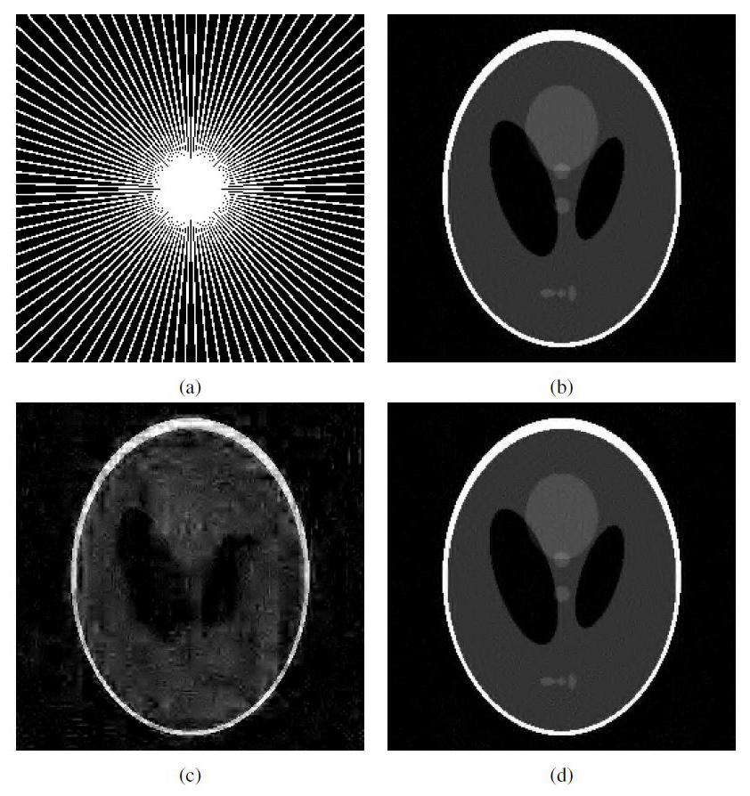 &lt;strong&gt;Figure 1.&lt;/strong&gt; The flip test. &lt;strong&gt;1a.&lt;/strong&gt; Radial sampling map in &lt;em&gt;k&lt;/em&gt;-space. White pixels denote the frequencies sampled. &lt;strong&gt;1b.&lt;/strong&gt; Image &lt;em&gt;x&amp;#770&lt;/em&gt;, recovered using Haar wavelets (PSNR = 28.7dB). &lt;strong&gt;1c.&lt;/strong&gt; Flipped recovery &lt;em&gt;x&amp;#780;&lt;/em&gt; (PSNR = 15dB). &lt;strong&gt;1d.&lt;/strong&gt; Flipped recovery where the flipping is done in levels (PSNR = 29.0dB). Image credit: Alexander Bastounis, Ben Adcock, and Anders C. Hansen.