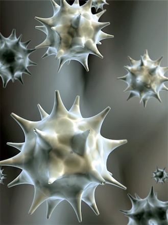 3d rendering of a colony of pathogen viruses. Photo Credit: © frenta / Masterfile