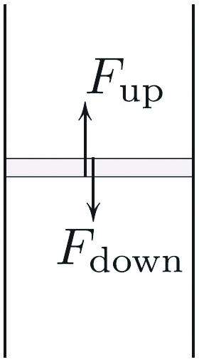 &lt;strong&gt;Figure 2.&lt;/strong&gt; Derivation of an ordinary differential equation \((5)\) for \(p(x)\). The rate of change of \(p\) is in direct proportion to both gravity (and hence to \(x\)) and density (and hence to \(p\)), which explains \((5)\).