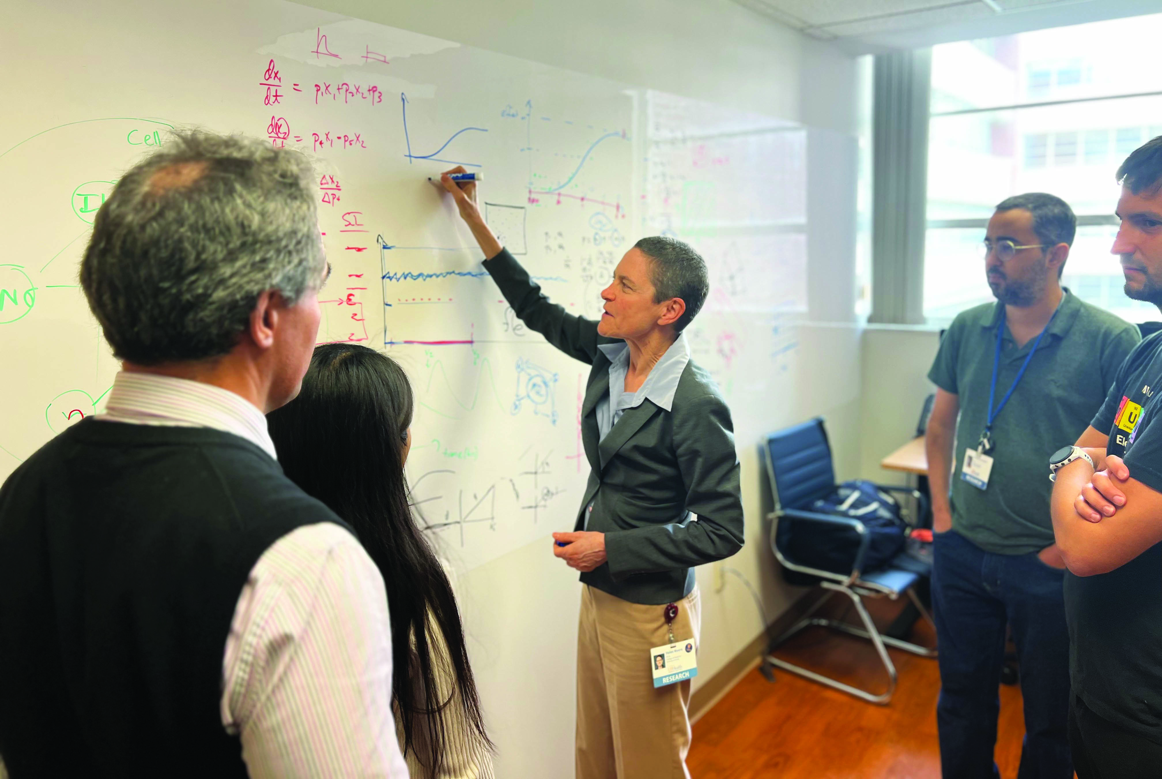 Helen Moore (center, at the whiteboard) and her colleagues within the Laboratory for Systems Medicine at the University of Florida’s College of Medicine recap and discuss a recent talk that they attended. Photo courtesy of Matthew Wheeler.