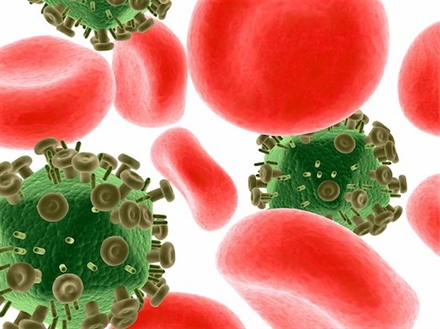3d rendered illustration of blood cells and viruses. Photo Credit: © Eraxion/ Masterfile