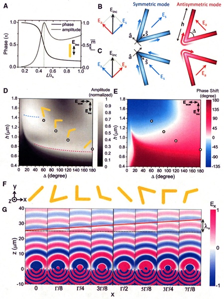 <strong>(A)</strong> Calculated phase and amplitude of scattered light from a straight rod antenna made of a perfect electric conductor. <strong>(B)</strong> A V-antenna supports symmetric and antisymmetric modes, which are excited, respectively, by components of the incident field along ŝ and â axes. <strong>(C)</strong> V-antennas corresponding to mirror images of those in (B). <strong>(D</strong> and <strong>E)</strong> Analytically calculated amplitude and phase shift of the scattered light from the V-antennas. <strong>(F)</strong> V-antenna array that introduces a constant phase gradient along the array. Optical “metasurfaces” constructed by tiling a surface using the antenna array allow demonstration of the generalized laws of reflection and refraction (i.e., arbitrary bending of light beams as they reflect from or pass through the metasurface). <strong>(G)</strong> Full-wave simulations of the scattered electric field for the individual antennas composing the array in (F), showing that a wave that impinges on the array in the normal direction is deflected into a new direction. From N. Yu et al., Light propagation with phase discontinuities: Generalized laws of reflection and refraction, <em>Science, 334</em>:6054 (2011), doi: 10.1126/science.1210713. Reprinted with permission from AAAS.