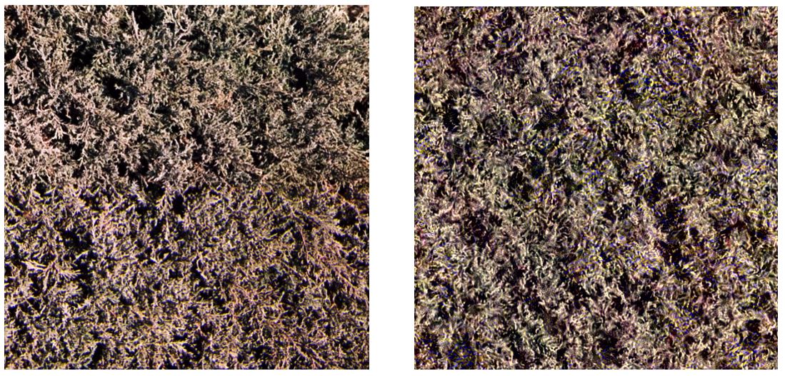 <strong>Figure 1.</strong> Original texture and its imitation using the Portilla-Simoncelli model, based on the estimation of 700 texture parameters.