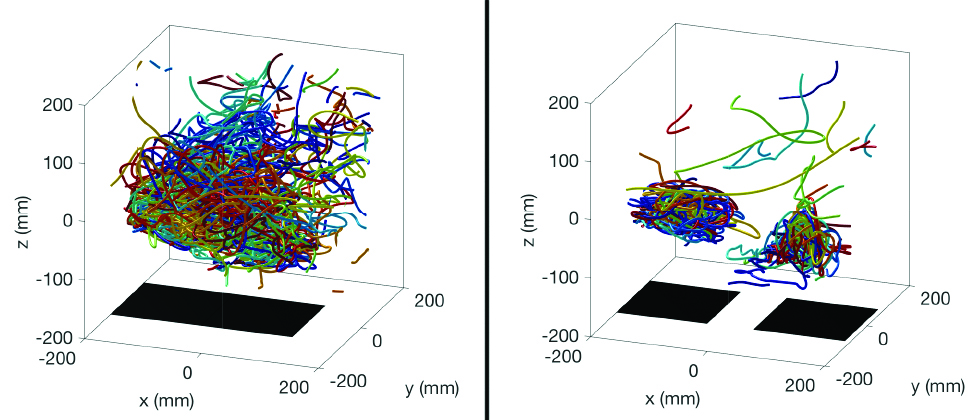 &lt;strong&gt;Figure 2.&lt;/strong&gt; Observed midge trajectories (with each midge shown in a different color) for one minute of recording time over &lt;strong&gt;(a)&lt;/strong&gt; one single ground-based target (shown in black) and &lt;strong&gt;(b)&lt;/strong&gt; two separated ground-based targets. A single swarm can be pulled apart into two as the targets are increasingly separated. Adapted from [7].