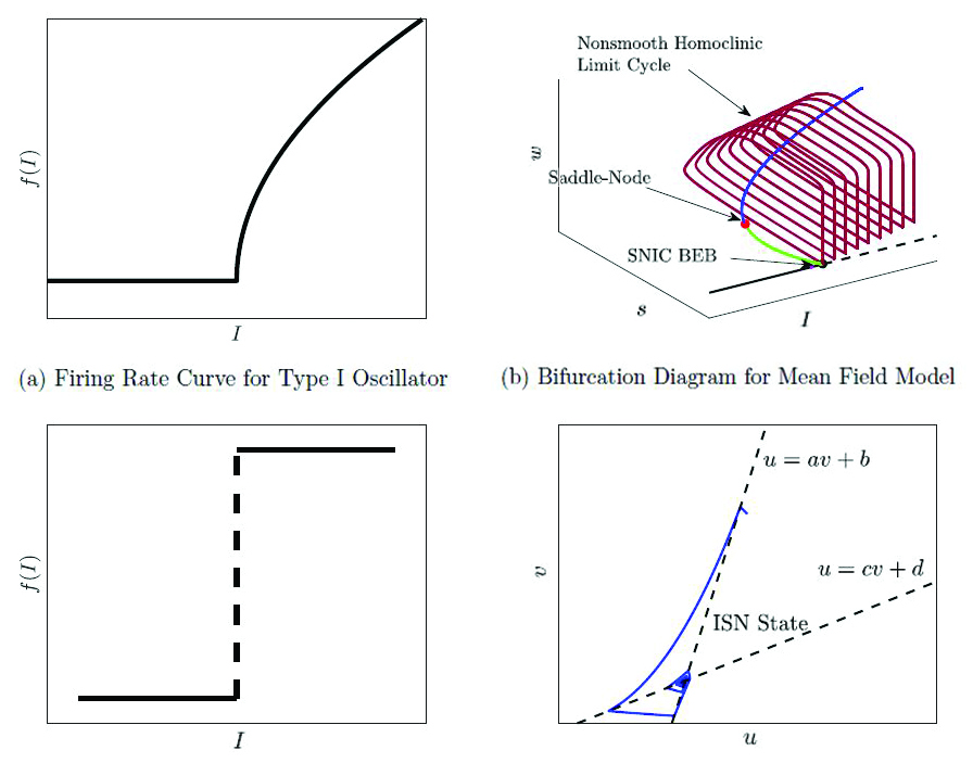 <strong>Figure 2.</strong> Nonsmooth neural model examples. <strong>2a.</strong> The firing rate curve for type-I excitability often has a square-root type discontinuity. This leads to mean -field equations that are piecewise smooth-continuous (PWSC). <strong>2b.</strong> The resulting mean-field systems display novel nonsmooth bifurcations, such as a saddle node on invariant circle (SNIC) boundary equilibrium bifurcation where a nonsmooth fold bifurcation collides with a nonsmooth limit cycle. <strong>2c.</strong> A Heaviside function often approximates the firing rate curve for the Wilson-Cowan equations. This transforms the Wilson-Cowan equations into a Filippov system. <strong>2d.</strong> The Filippov system features an intersection of two switching manifolds, which creates a new equilibrium in the plane. This equilibrium corresponds to the inhibitory stabilized network state in the related biological neural network. Image credit: Wilten Nicola.