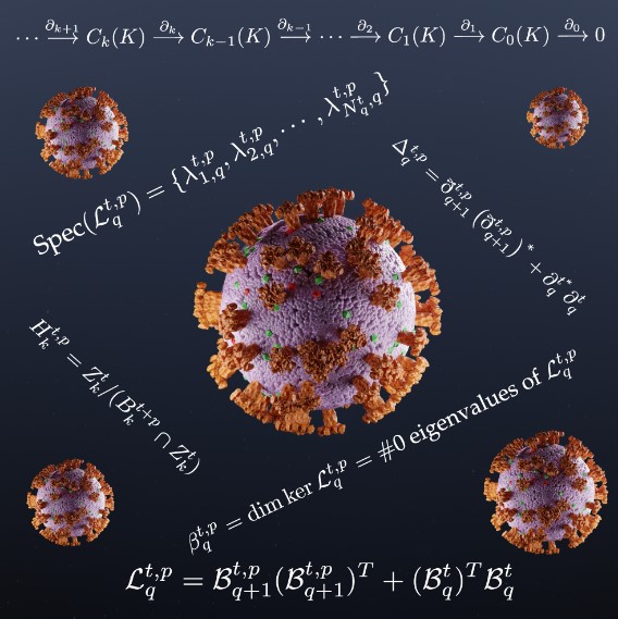 &lt;strong&gt;Figure 1.&lt;/strong&gt; Topology deciphers the virus code. Image courtesy of Rui Wang.