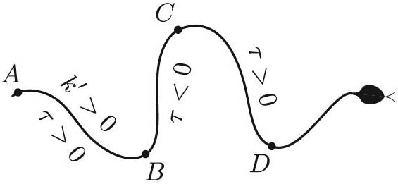 &lt;strong&gt;Figure 3.&lt;/strong&gt; The recipe for reptation is to change the direction of the bending effort \(\tau\) at points \(A\), \(B\), \(C\), and \(D\) of extreme curvature. Here, \(k\) is minimal (negative) at \(A\) and \(C\) and maximal (positive) at \(B\) and \(D\).