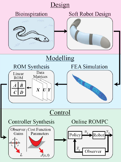 <strong>Figure 2.</strong> Process flow that synthesizes a reduced-order model predictive controller for dynamic shape control of a soft robot. Our proposed process spans three stages—design (top), modeling (middle), and control (bottom)—that we define to be broadly applicable to a variety of soft robots. We focus specifically on an anguilliform-inspired soft robot that we designed through a bioinspiration process. Using data from a high-fidelity finite element simulation of the robot, we explored various techniques for data-driven model reduction to generate linear reduced-order models (ROMs) that are amenable to control. We then used these ROMs to construct a closed-loop state observer and ROM predictive controller. Figure courtesy of [1].