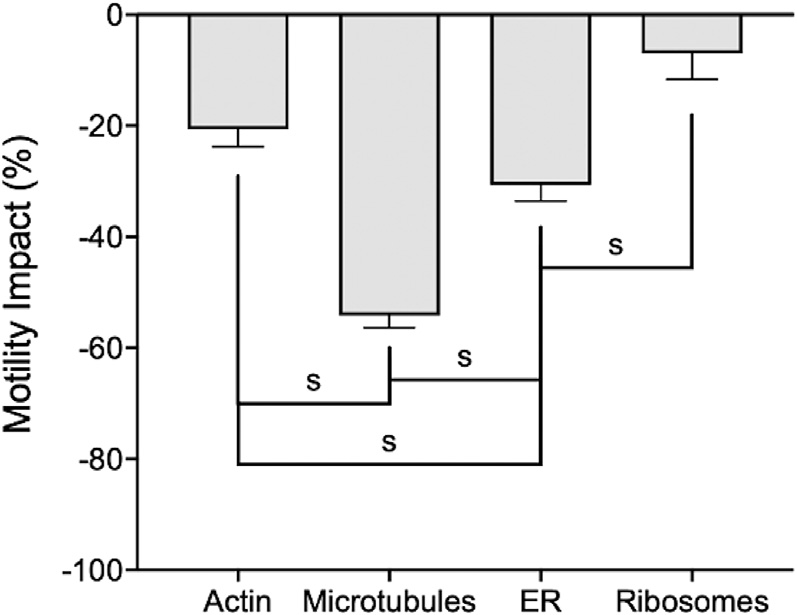 &lt;strong&gt;Figure 2.&lt;/strong&gt; Decrease in vesicle motility due to disruption of the cytoskeleton, endoplasmic reticulum (ER), and ribosomes. Error bars show normalized 95 percent confidence intervals (CIs); CIs that do not overlap determine significance. Disruption of microtubules and the ER has the greatest impact on vesicle motility. Figure courtesy of [2].