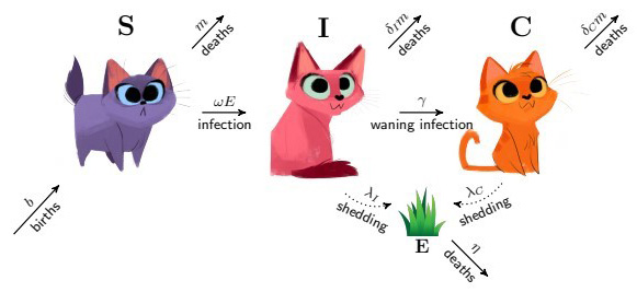 &lt;strong&gt;Figure 1.&lt;/strong&gt; This image depicting the transfer of &lt;em&gt;Toxoplasma gondii&lt;/em&gt; between cats and the environment was featured in a 2018 &lt;i&gt;SIAM Undergraduate Research Online&lt;/i&gt; (SIURO) article by Emily Kelting. Figure courtesy of [1].