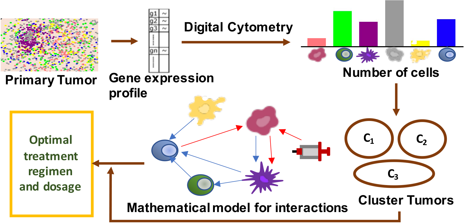 &lt;strong&gt;Figure 1.&lt;/strong&gt; Overview of our mathematical model for colon cancer and osteosarcoma. Figure courtesy of [9].