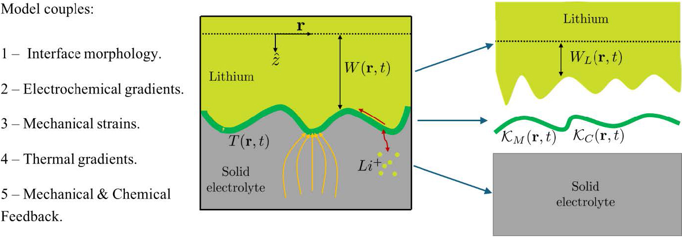 &lt;strong&gt;Figure 3.&lt;/strong&gt; Illustration of the different components and quantities that enter the model to capture structure, mechanics, transport, and feedback in a solid-state battery. Here, \(W_L(\mathbf{r},t)\) is the normal displacement of the lithium surface in the absence of external forces.  When the solid electrolyte—which prefers to stay flat—comes into contact with the lithium anode, it triggers forces that change the lithium surface to \(W(\mathbf{r},t)\). The buildup of current leads to instabilities that destroy the flat state; such regions also have high temperature \(T(\mathbf{r},t)\). The natural curvature \(\mathcal{K}_M\) and ionic conductance \(\mathcal{K}_C\) of the morphogenetic interface layer (shown in green) capture feedback. Figure courtesy of the author.
