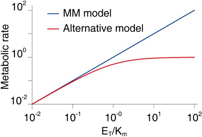 <strong>Figure 4.</strong> Our alternative model produces a more realistic metabolic rate than the Michaelis-Menten (MM) model. The MM model predicts an unrestricted linear increase in the metabolic rate given an increase in enzyme concentration, while the alternative model more realistically predicts a saturation point for the metabolic rate increment. When \(E_T\) is comparable to or greater than \(K_m\), the two models consequently produce significantly different predictions. The modified formula is therefore superior to the U.S. Food and Drug Administration’s current equation when inducers highly increase the enzyme concentration. Figure courtesy of the authors.