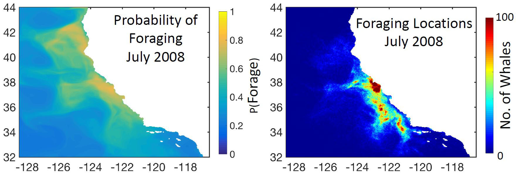 <strong>Figure 3.</strong> A high foraging probability does not always correlate with foraging locations of the agents.