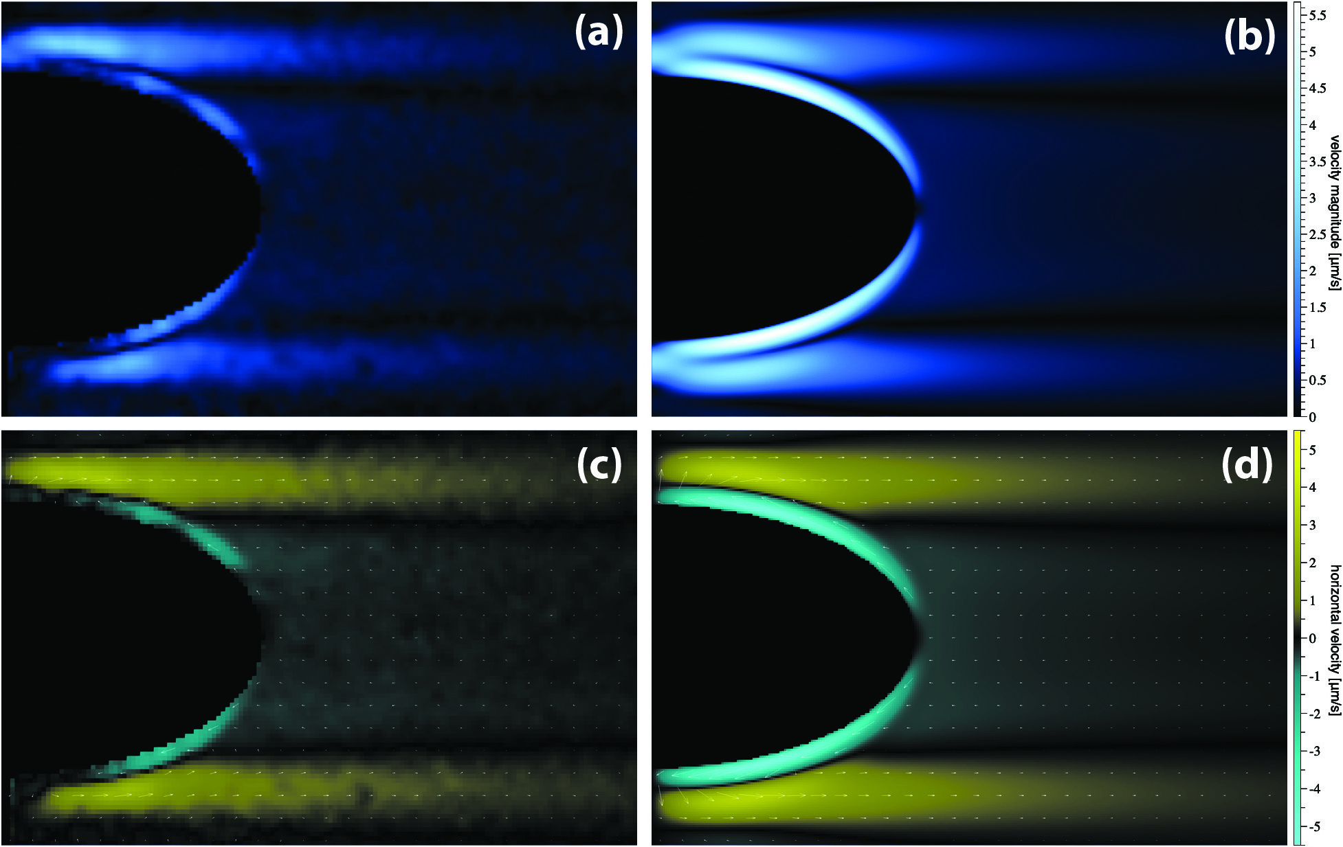 &lt;strong&gt;Figure 2.&lt;/strong&gt; Comparison of the experiment and simulation for the flow field in a vertical plane that slices the spheroid through its north and south poles. Here, \(Pe=52\), \(\mu=0.016\) poise, \(\kappa=1.5\times10^{-5}\) cm&lt;sup&gt;2&lt;/sup&gt; s&lt;sup&gt;−1&lt;/sup&gt;, the spheroid vertical radius \(= 0.5\) cm, the width \(= 2\) cm, and the density gradient \(\sigma=0.002\) g cm&lt;sup&gt;−4&lt;/sup&gt;. &lt;strong&gt;2a.&lt;/strong&gt; Flow speed from particle imaging velocimetry. &lt;strong&gt;2b.&lt;/strong&gt; Flow speed from COMSOL. &lt;strong&gt;2c.&lt;/strong&gt; Horizontal flow velocity from particle imaging velocimetry. &lt;strong&gt;2d.&lt;/strong&gt; Horizontal flow velocity from COMSOL. Figure courtesy of [7].