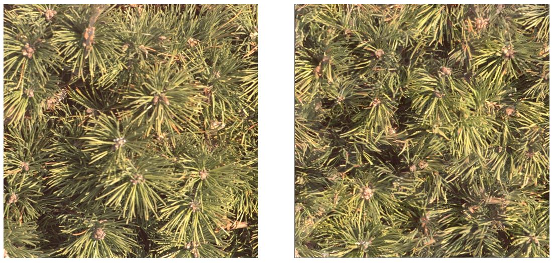 <strong>Figure 3.</strong> Original texture and its remarkable emulation by Gatys, Ecker, and Bethge; it involves as many parameters as the image itself.