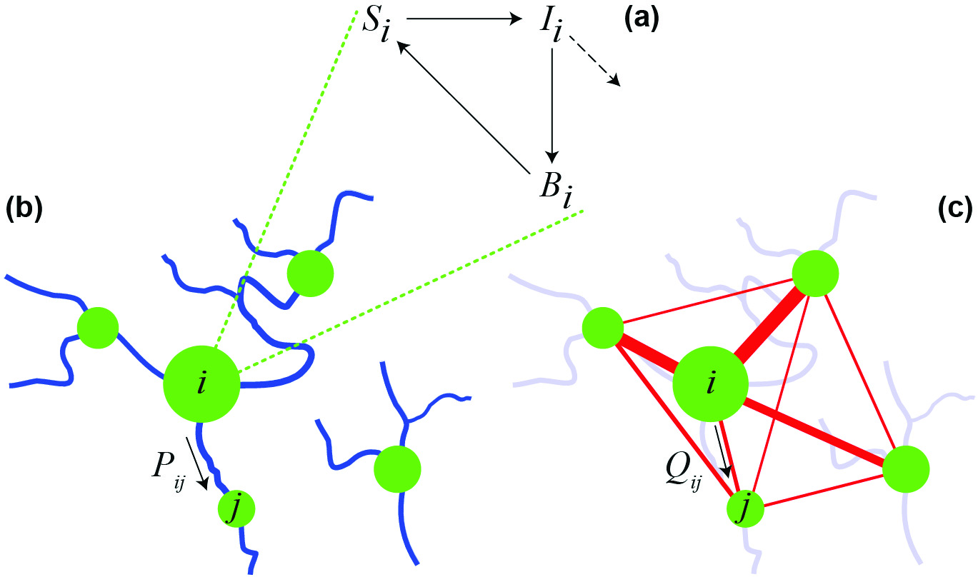 &lt;strong&gt;Figure 1.&lt;/strong&gt; A spatially explicit network model for cholera epidemics. (a) Local epidemiologic dynamics in the ith community. (b) Pathogen transport along the river network. (c) Human mobility network. Communities of different sizes constitute the nodes of the network model (green circles). Connections between nodes (specified by Markov matrices P and Q) can represent hydrologic pathways and/or human displacement. Modified from [5].