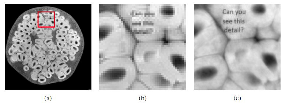 &lt;strong&gt;Figure 4.&lt;/strong&gt; Resolution enhancing in MRI. &lt;strong&gt;4a.&lt;/strong&gt; Original image with small synthetic detail added. &lt;strong&gt;4b.&lt;/strong&gt; Linear recovery from the lowest &lt;em&gt;m&lt;/em&gt;=256&lt;sup&gt;2&lt;/sup&gt; Fourier measurements. &lt;strong&gt;4c.&lt;/strong&gt; Compressed sensing with multilevel subsampling using &lt;em&gt;m&lt;/em&gt;=256&lt;sup&gt;2&lt;/sup&gt; measurements. Original image courtesy of Andy Ellison, recovered images by Alexander Bastounis, Ben Adcock, and Anders C. Hansen.